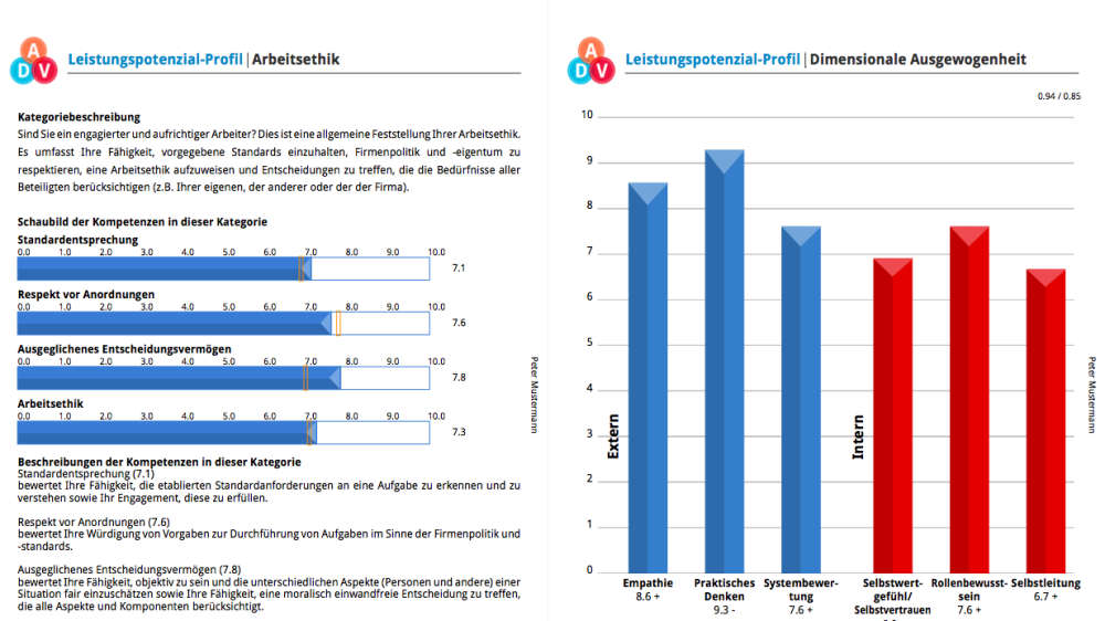 IMX Leistungspotenzial-Profil - image 2