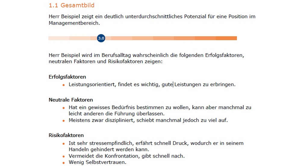 HFMtalentindex Management Potenzial Index - image 0