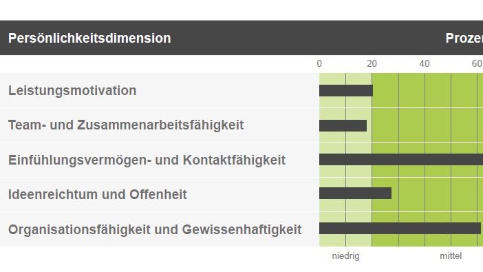 BBP JobPersonality - Berufsbezogene Persönlichkeit - image 2