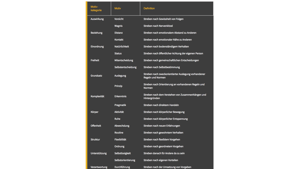MotivationsPotenzialAnalyse MPA - image 0