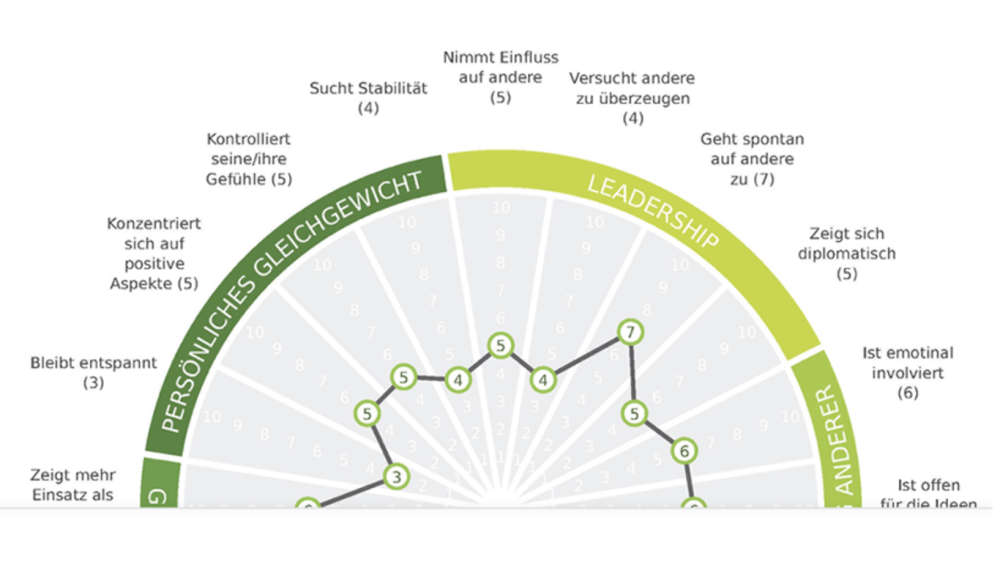 AssessFirst Persönlichkeitstest - image 0