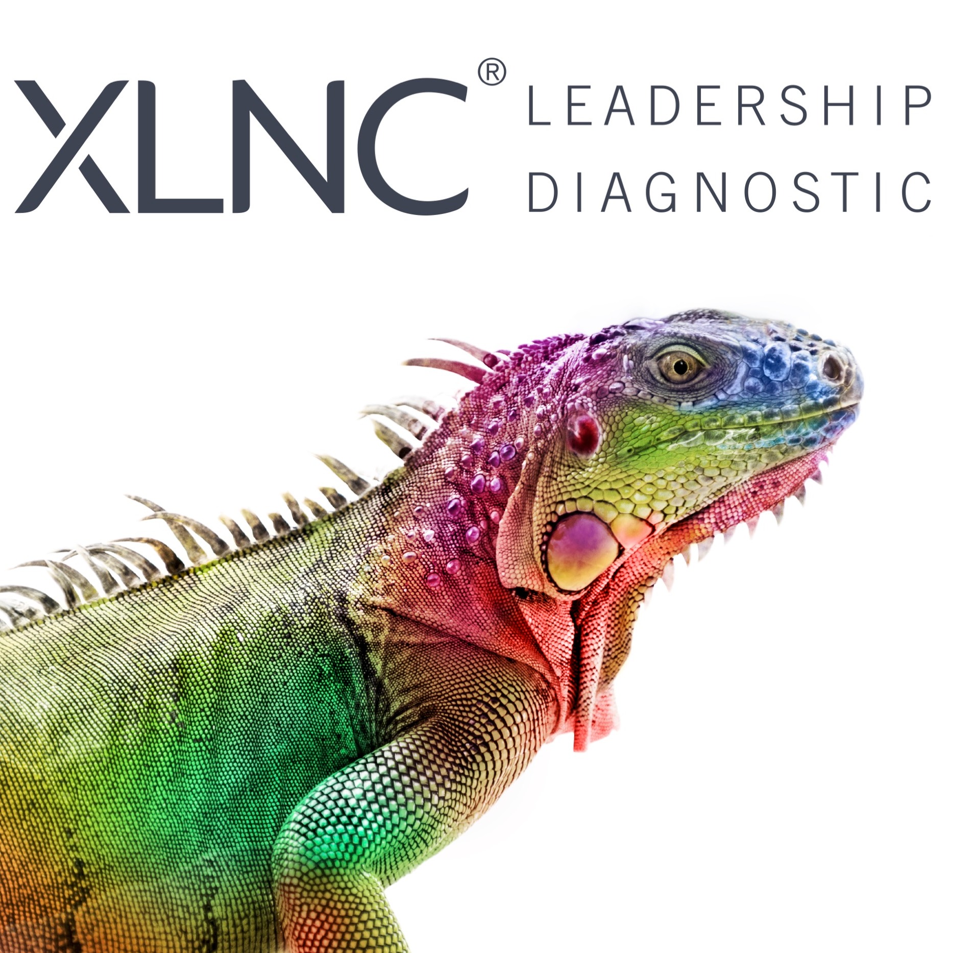 XLNC Leadership logo