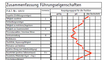 P.A.T. Personality Assessment Test - image 1