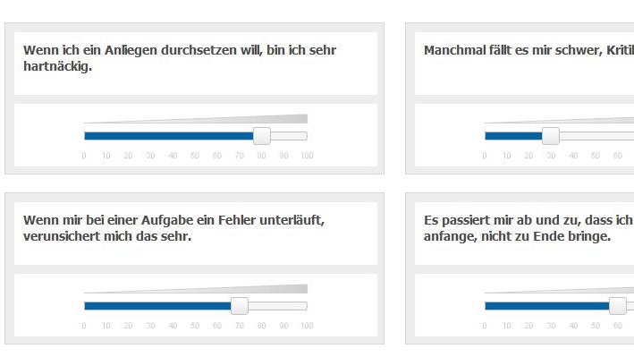 BBP JobPersonality - Berufsbezogene Persönlichkeit - image 1