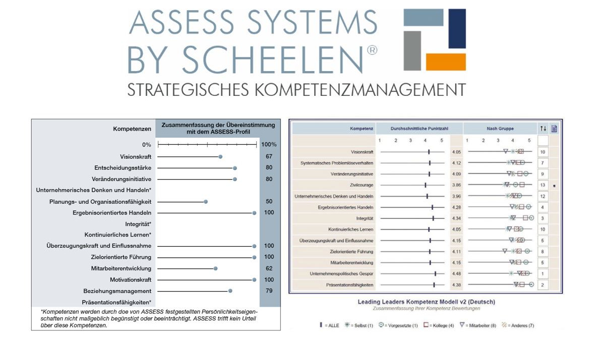 ASSESS by SCHEELEN® - image 0