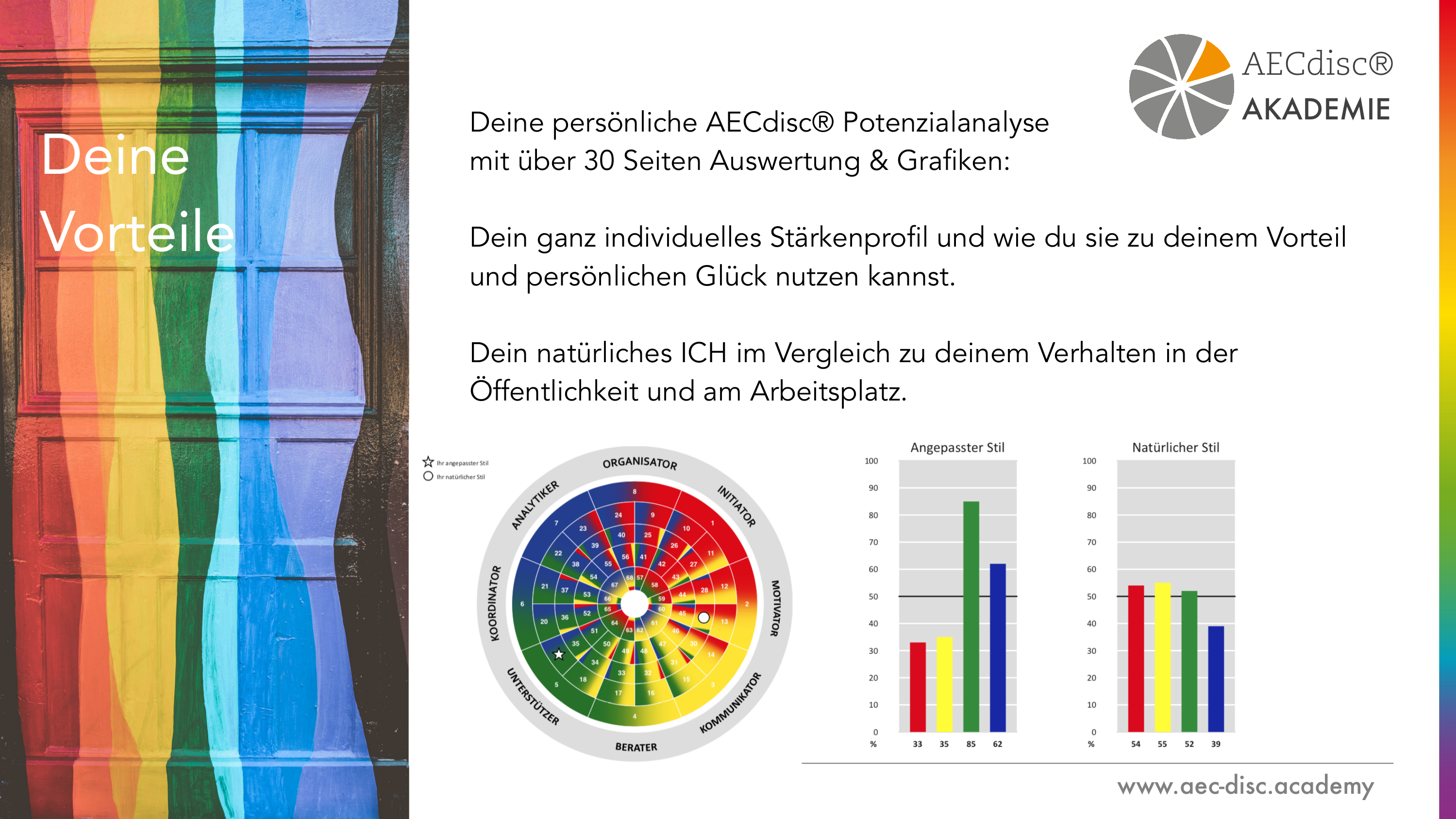 Potenzialanalyse AECdisc® - image 2