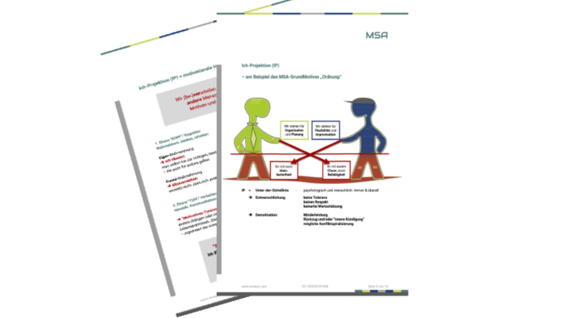 MotivStrukturAnalyse MSA ® - image 1