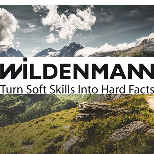 Wildenmann GmbH & Co. KG