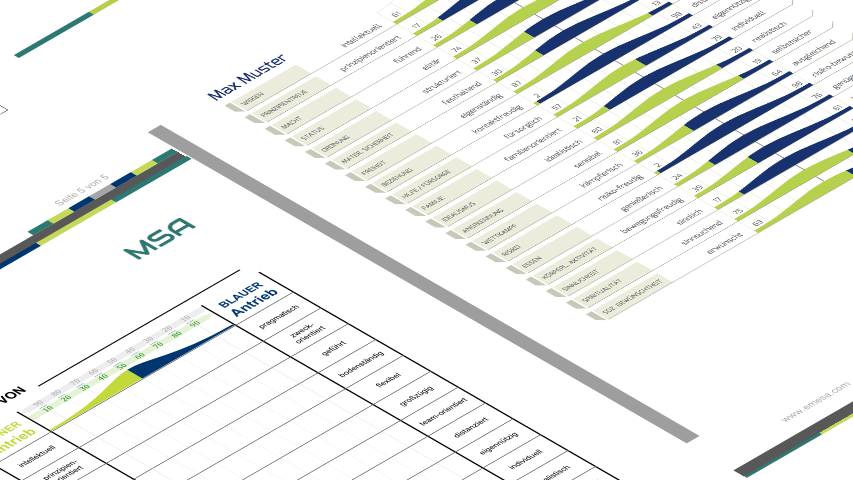 MotivStrukturAnalyse MSA ® - image 0