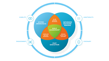 Agile Leader Assessment - image 1